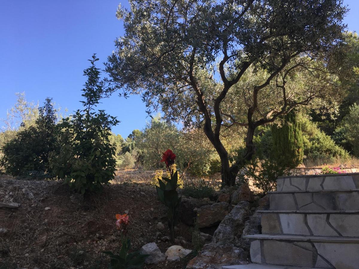 Le Clos En Provence 플레이오스크 외부 사진