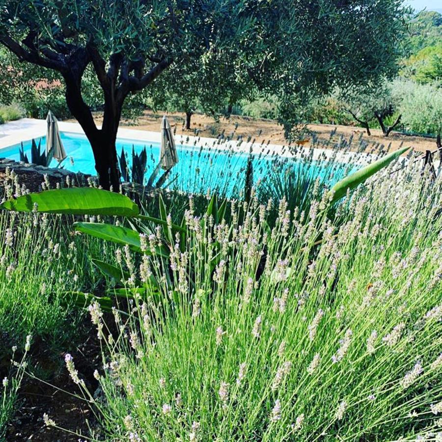 Le Clos En Provence 플레이오스크 외부 사진